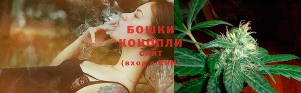 гидра Белоозёрский