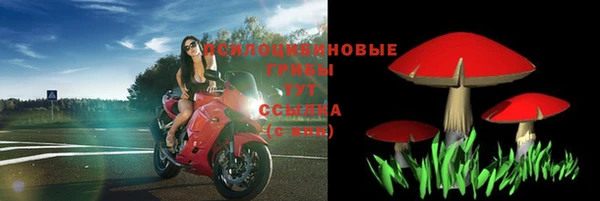 гидра Белоозёрский