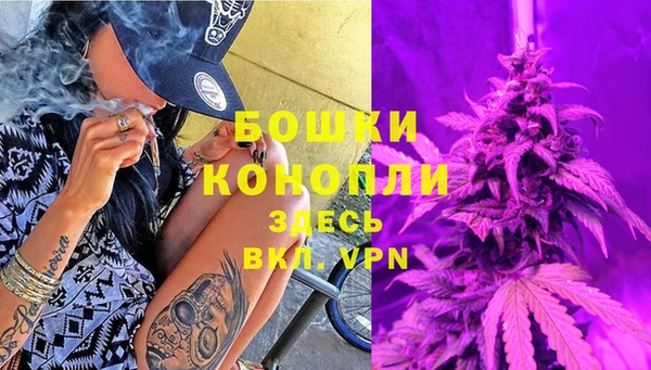 гидра Белоозёрский