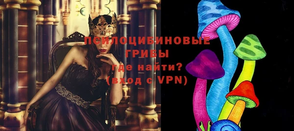 гидра Белоозёрский
