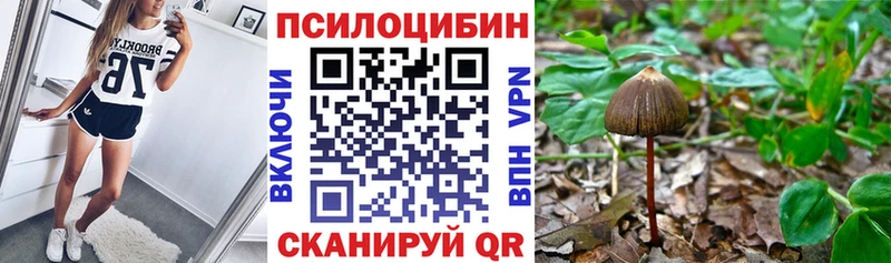 Галлюциногенные грибы мухоморы  Шагонар 